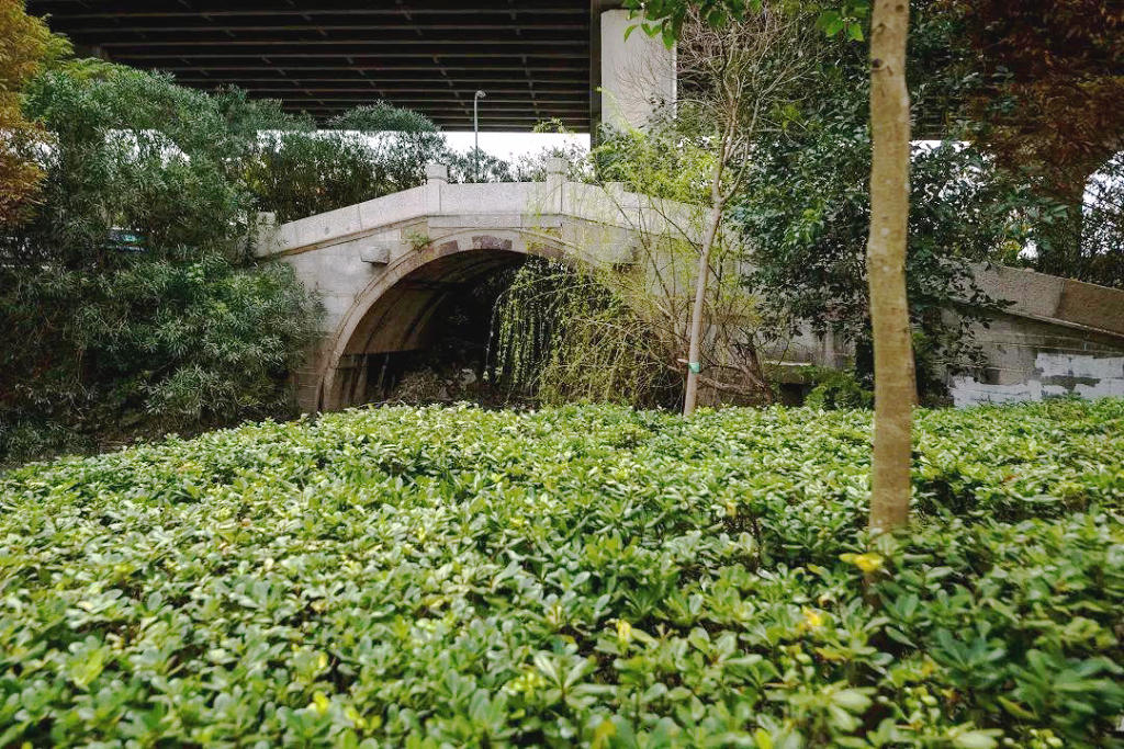 �������ֽ���ˮ������