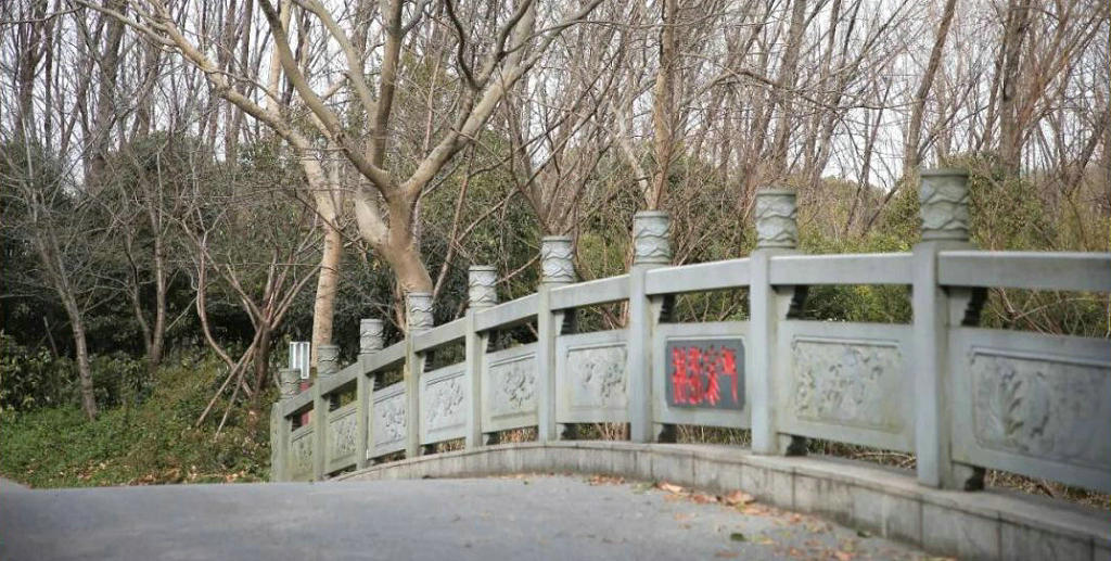 ��ɽ���˴���˴幫԰�ϼҸ���