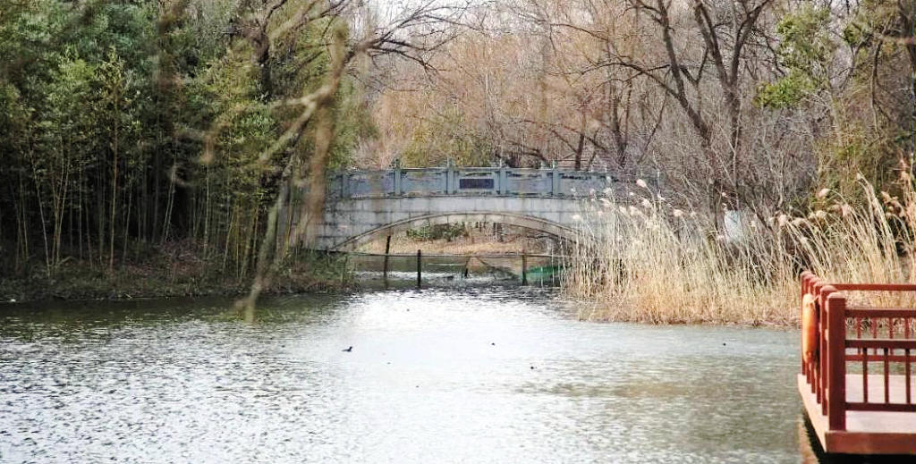 ��ɽ���˴���˴幫԰�ϼҸ���