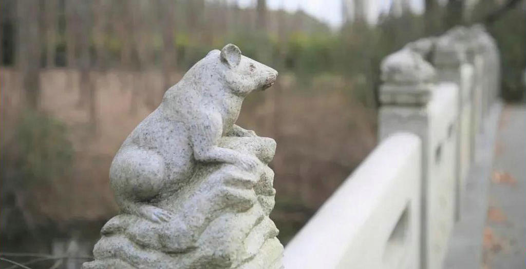 ��ɽ���˴���˴幫԰̫ƽ��