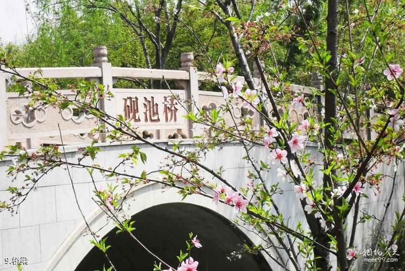 ��ɽ���˴���˴幫԰�����