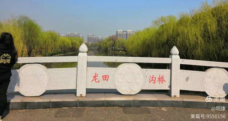 ��ɽ���˴���˴幫԰���﹵��