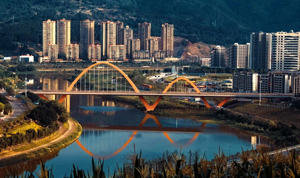 ��������̩����