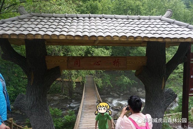 вӾֳֺɽСկͬ