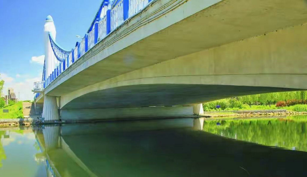 �����������³�״Ԫ��