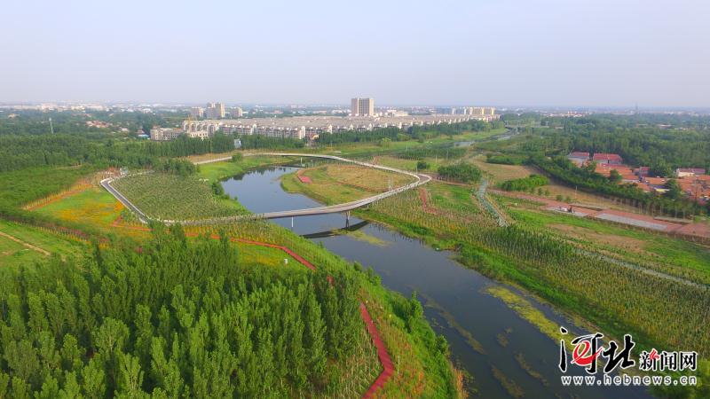 泊头市大运河景观带人行桥