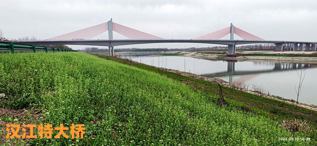 Т���к������ɽ��������