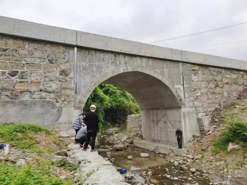 Զɳ