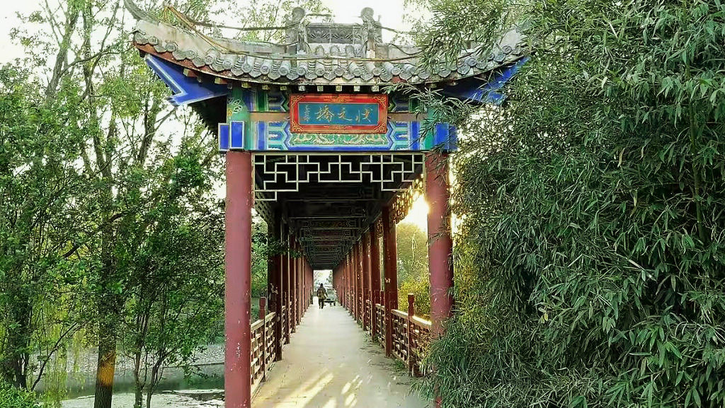 �����кӶ���֥��սֵ�״Ԫ��