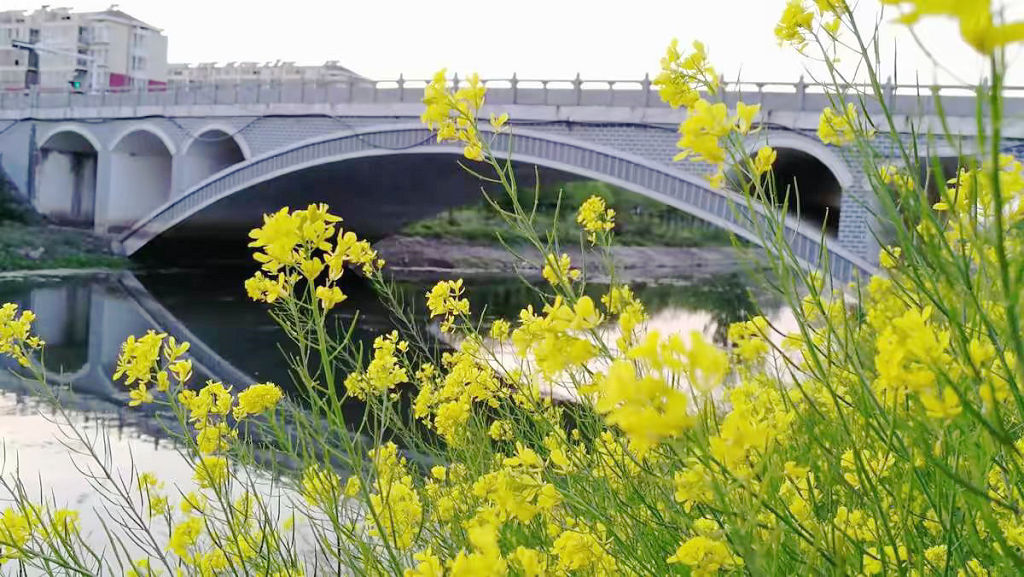 �����кӶ���֥��սֵ�������