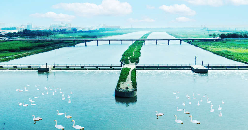 ˳ɽɽںӴ