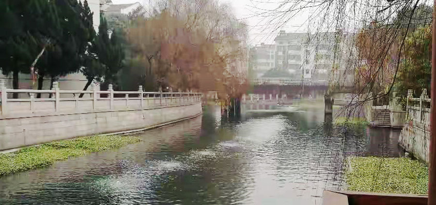 �����º���