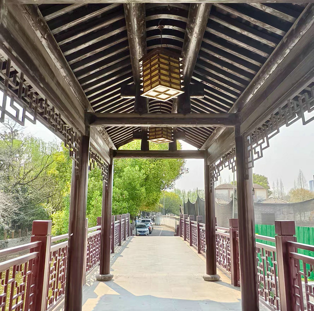 �����Ų���