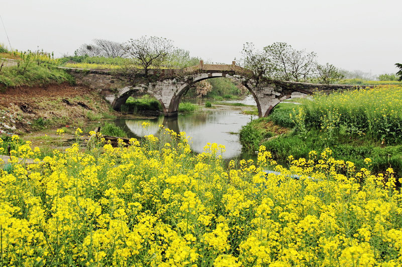 ������֯�����������Ź���