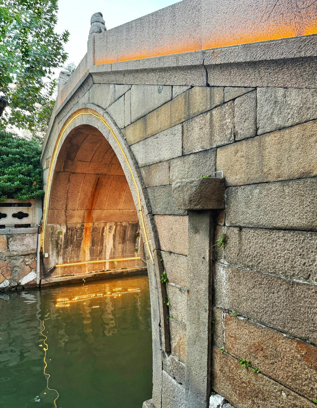 ����������̩����