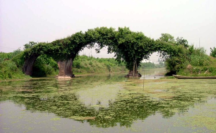 ֵ