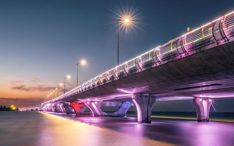 �����ذ�Ҷ������