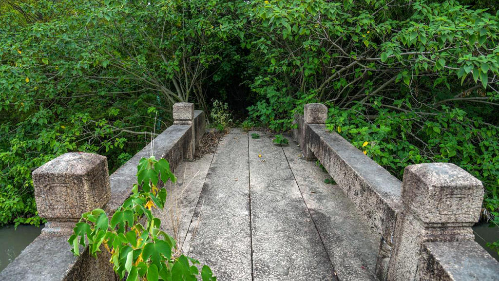 ���������������������������