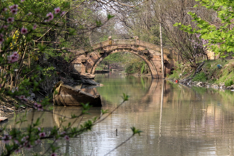 ������֯���������������