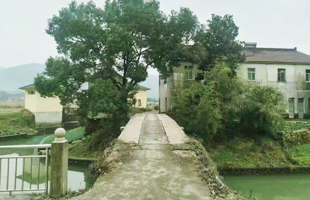 ��������Ҳ����ݼҴ���ͨ��