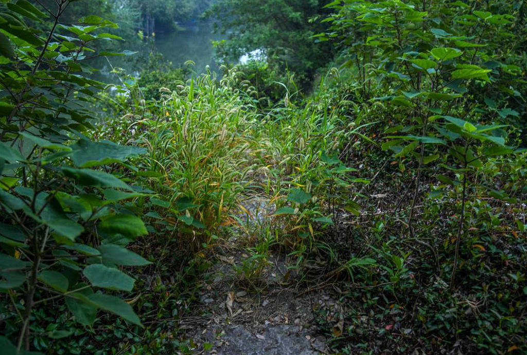 ����������򳤳���¡����