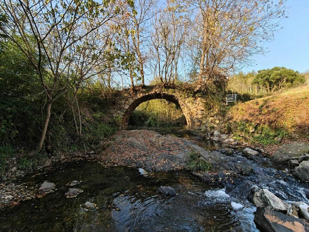 ������ܤϪ��������