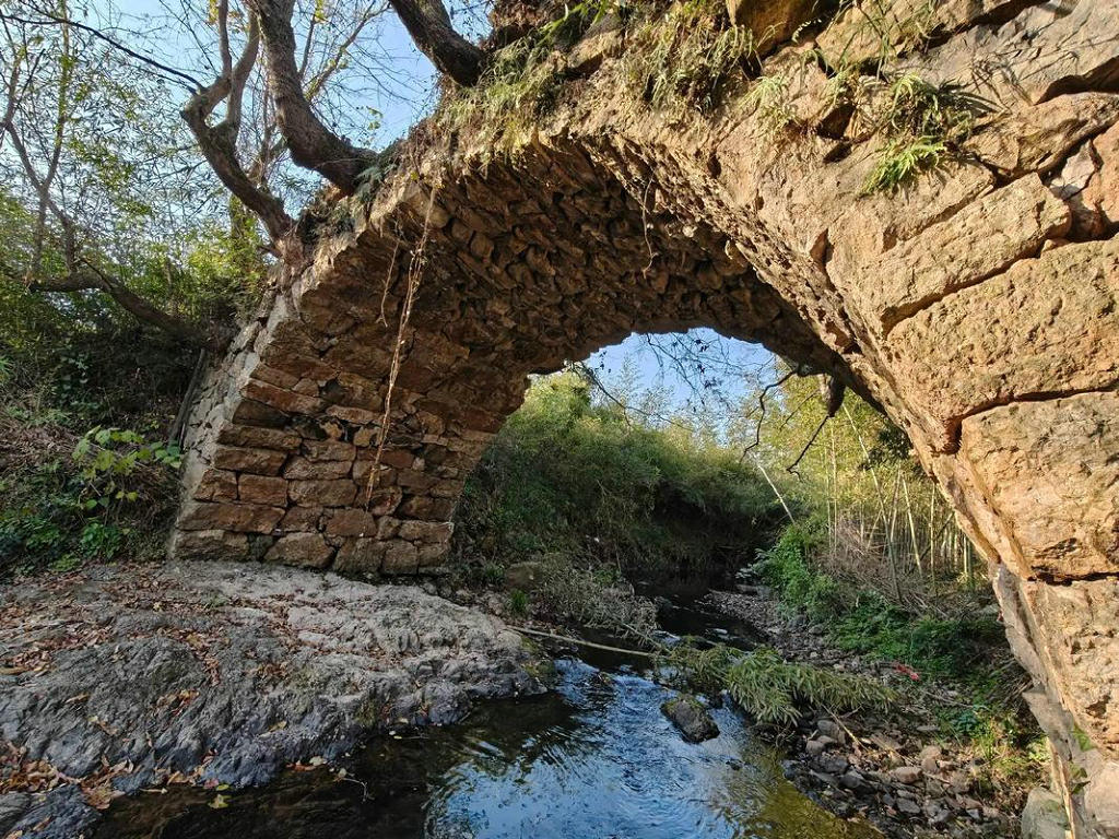 ������ܤϪ��������