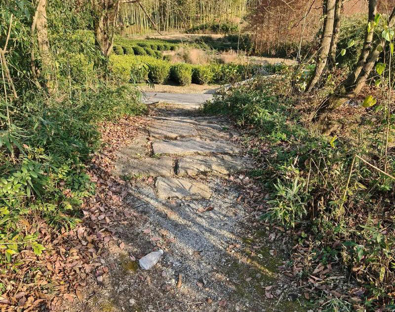 ������ܤϪ��������