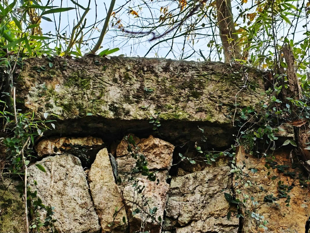 ������ܤϪ��������