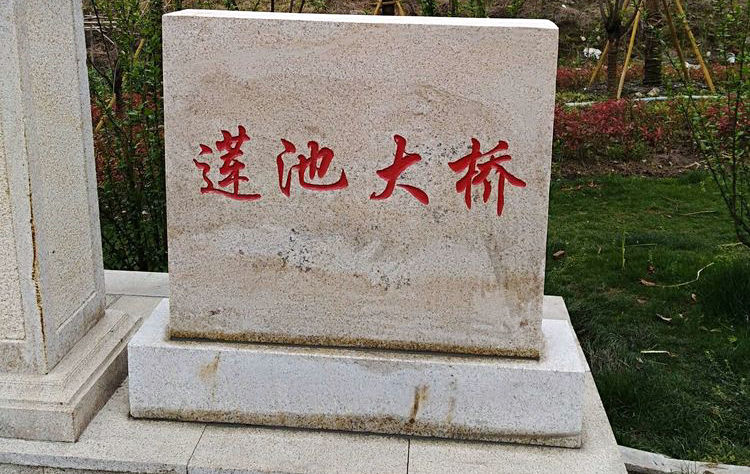 ش