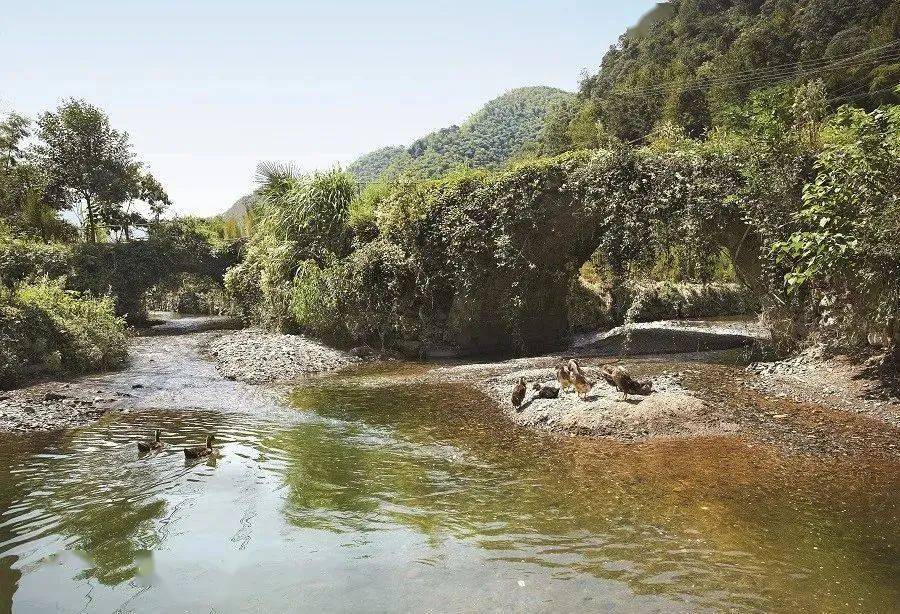 �����غ�������÷˫��