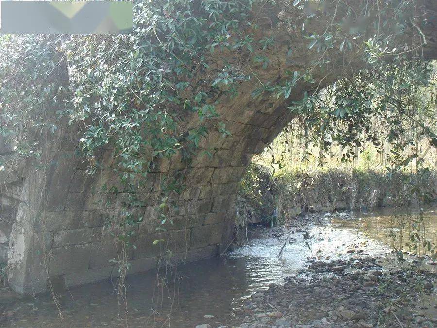 �����غ�������÷˫��