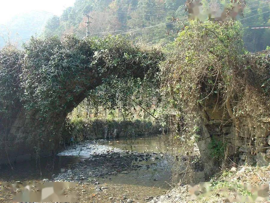 �����غ�������÷˫��