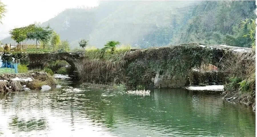 �����غ�������÷˫��