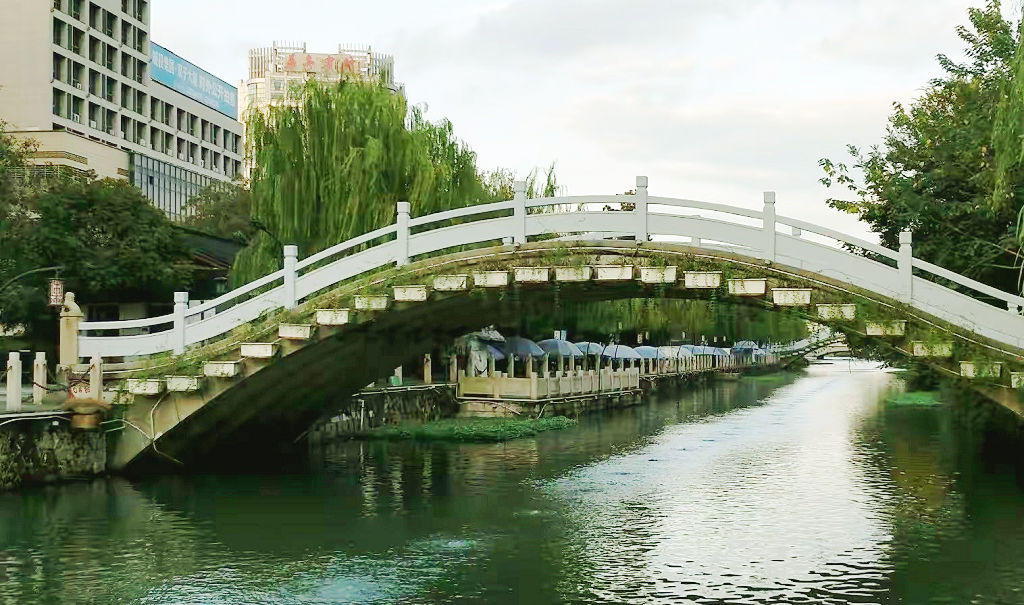 ������ʨ����