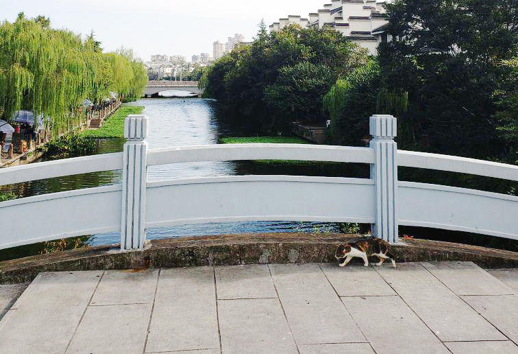 ������������