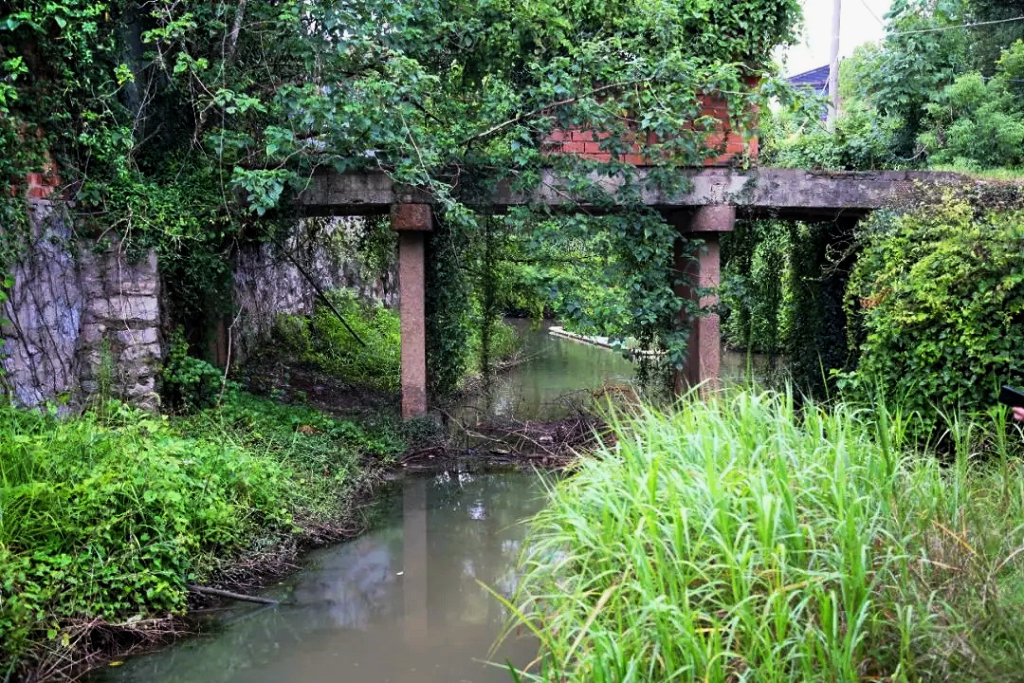 ������С������ɽ��������