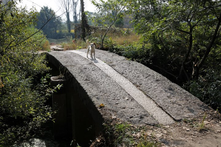 �������ֳ���ʯӢ��Ŵ�¬��