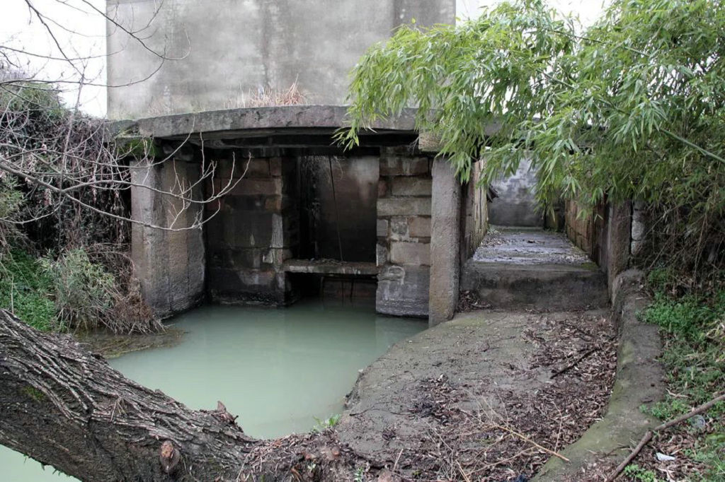 ��������Ҳ����ݼҴ�(������)����