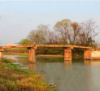 ������֯�����ؼҸ۴��ʦ����