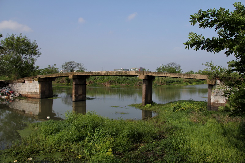 ������֯�����ؼҸ۴��ʦ����