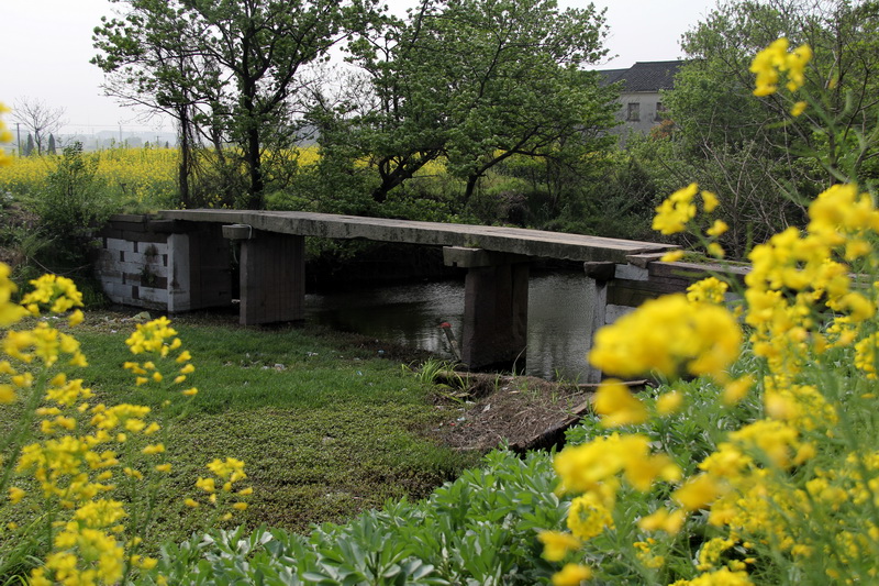 ������֯������լ���������