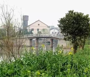 ������֯�������ִ尲����