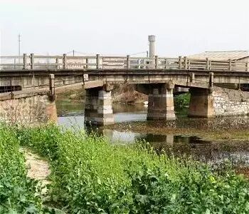 ������֯����������������