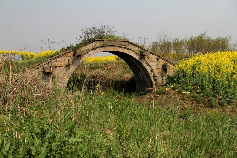 ������֯������޴峣ʤ����