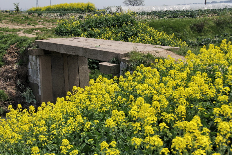 ������֯������޴�̫ƽ����