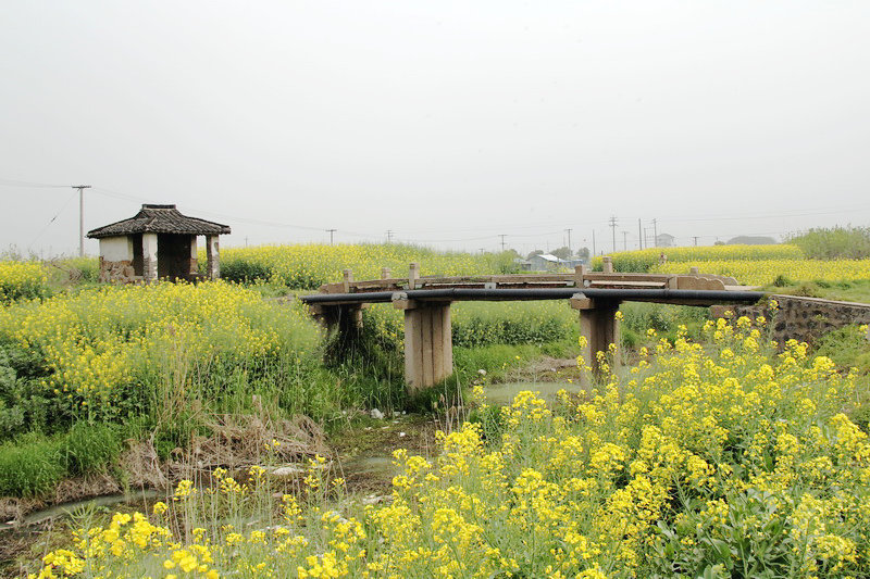 ������֯�����ǜ�����������