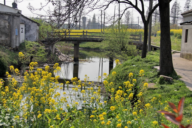 ������֯������������������