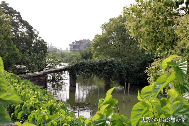 ����������������