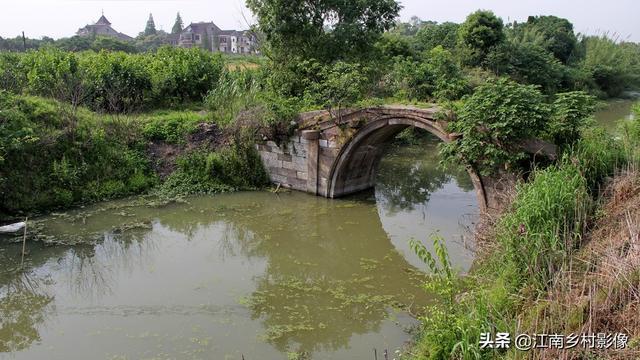 �����������ͤ����